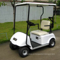 Buggy de Golf Mini Assento Elétrico Marshell com CE (DG-C1)